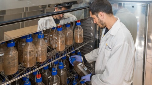 ensayo biodegracion (39).jpg